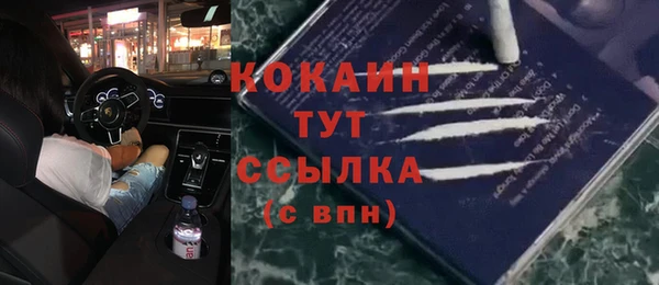ешки Козельск