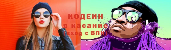 гидропоника Кодинск
