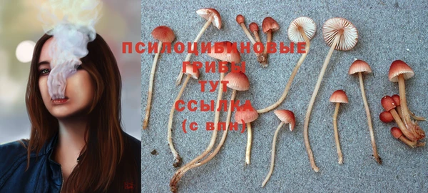 ешки Козельск