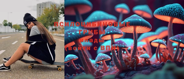 гидропоника Кодинск