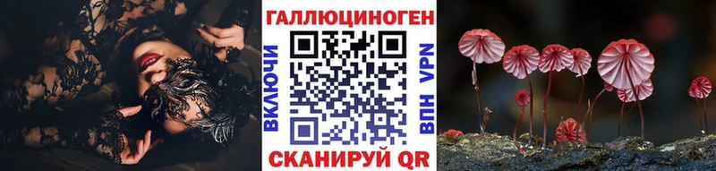 Псилоцибиновые грибы Psilocybine cubensis  Купить где  Светлоград 